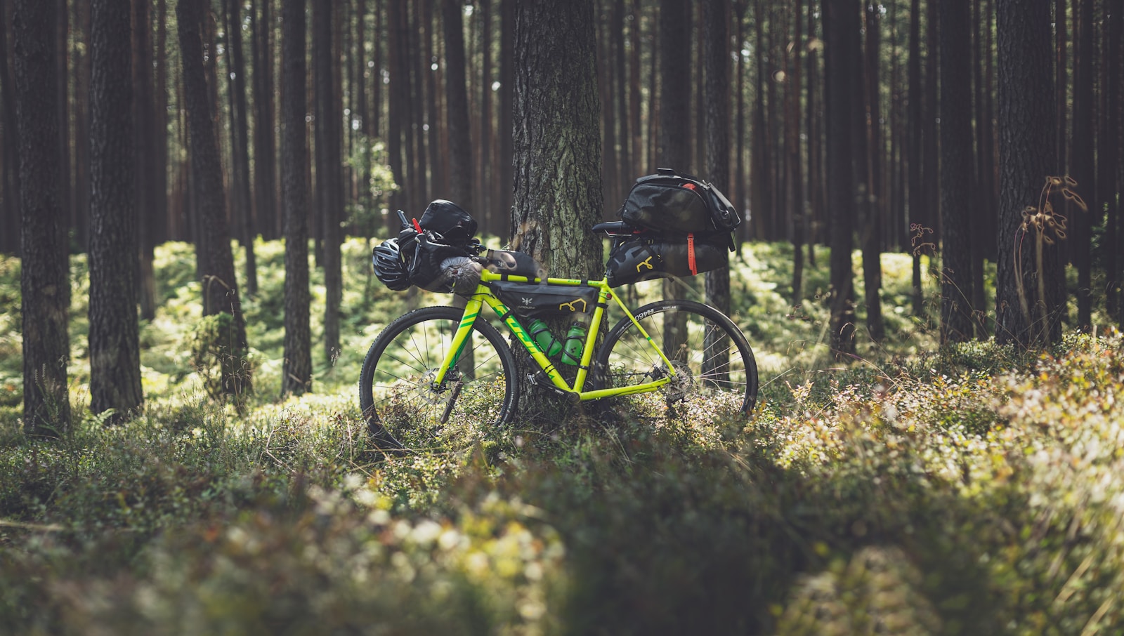 Von Küstenlinien bis Alpenkanten – Bewegung per Bike auf Deutschlands Naturachsen