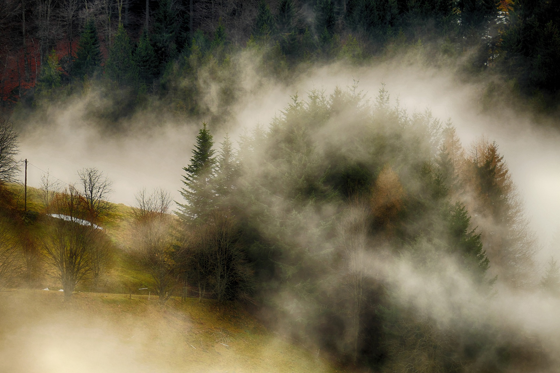 Warum der Schwarzwald eine Reise wert ist